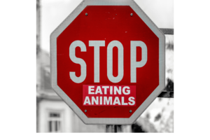 Veganuary. Photo by Simon Berger on Unsplash
